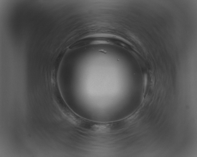 X0000070160170200605301309