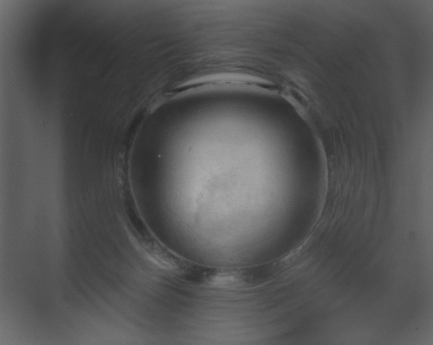 X0000070160171200605301309