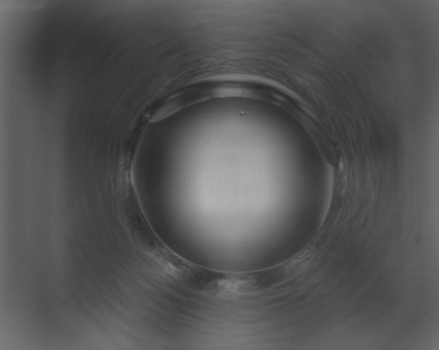 X0000070160172200605301309