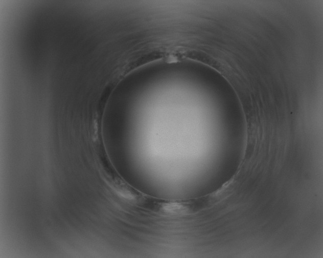 X0000070160183200605301309