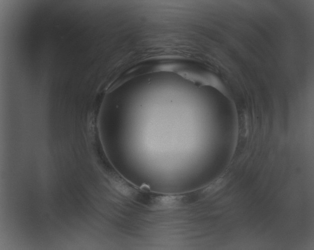 X0000070160184200605301309