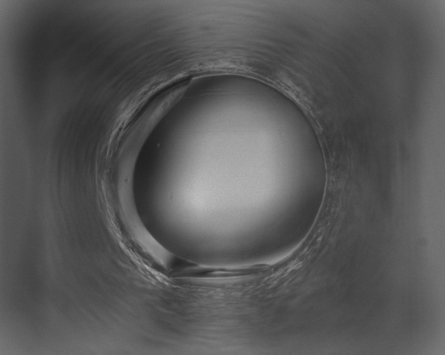 X0000070160193200605301308
