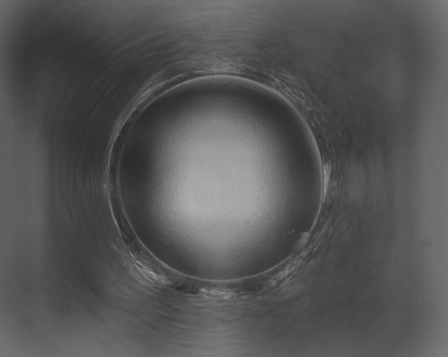 X0000070160195200605301308