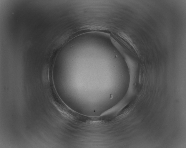 X0000070160205200605301308