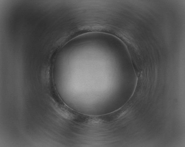 X0000070160206200605301308