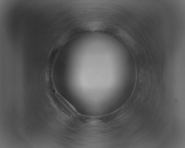 X0000070160210200605301308