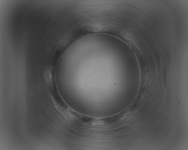 X0000070160214200605301308