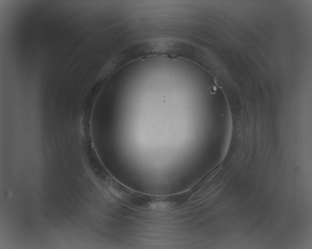 X0000070160216200605301308