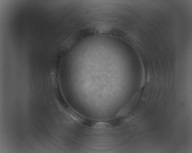 X0000070160222200605301308