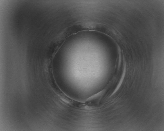 X0000070160229200605301308