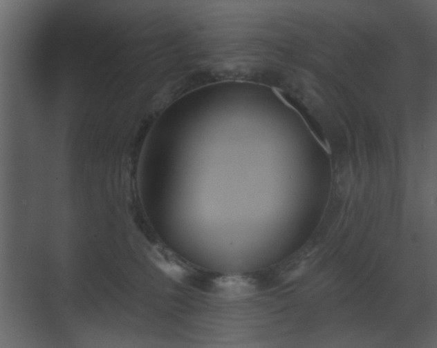 X0000070160231200605301308