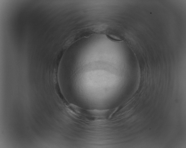 X0000070160234200605301307