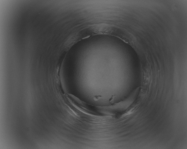 X0000070160239200605301307