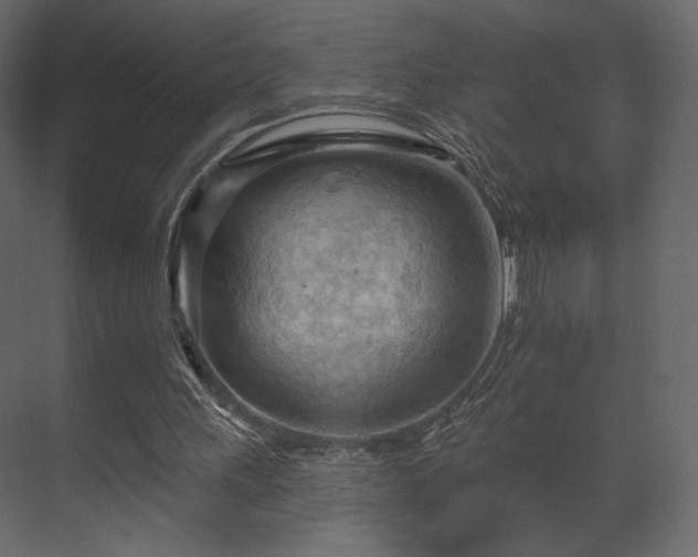 X0000070160243200605301307