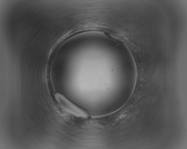 X0000070160244200605301307