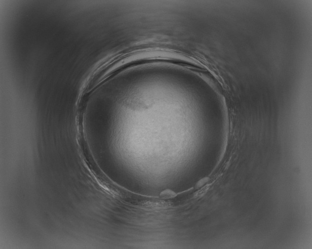 X0000070160245200605301307