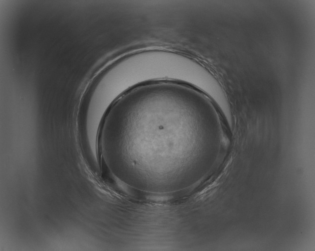 X0000070160247200605301307