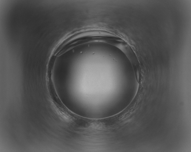 X0000070160248200605301307