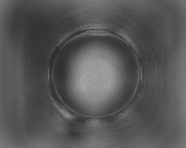 X0000070160253200605301307