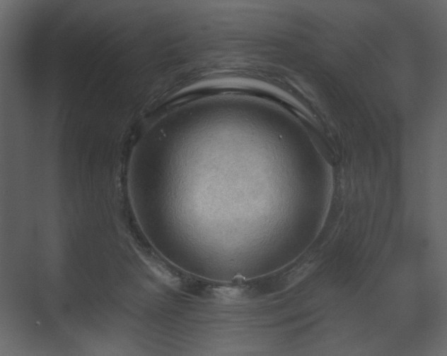 X0000070160265200605301307