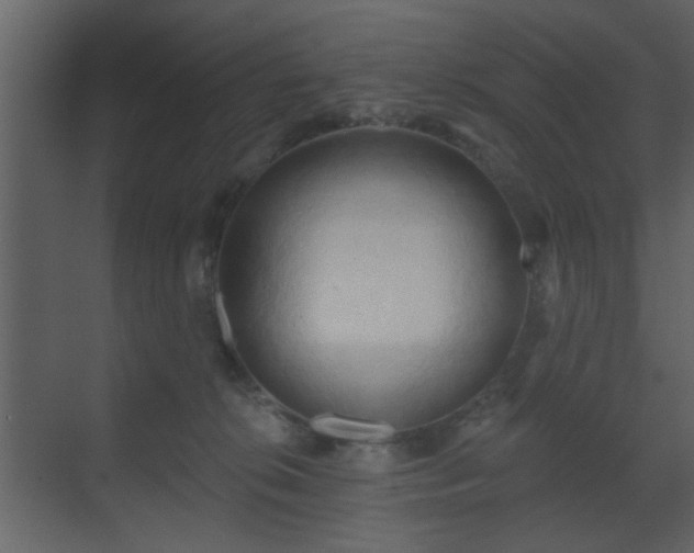 X0000070160276200605301307