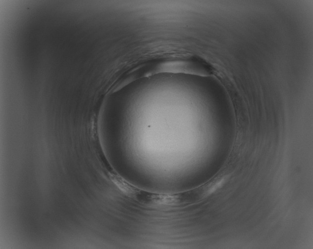 X0000070160288200605301307