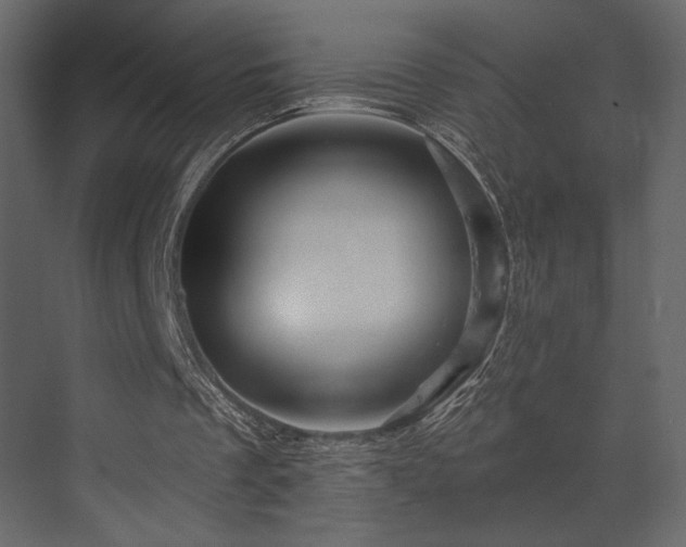 X0000070160289200605301307