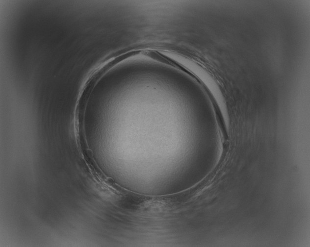 X0000070160294200605301306