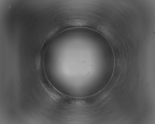 X0000070160304200605301306