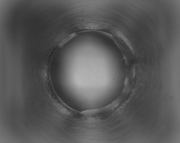 X0000070160305200605301306