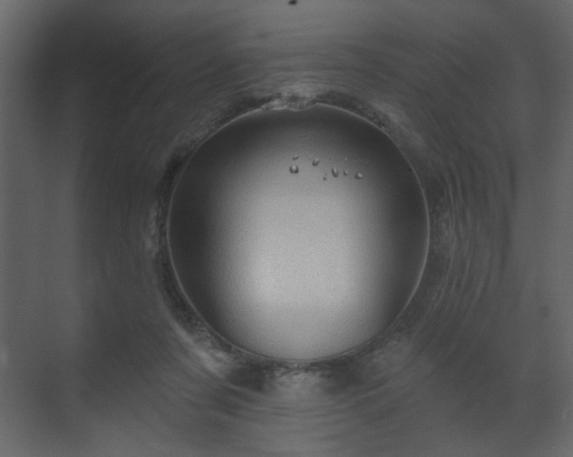 X0000070160311200605301306