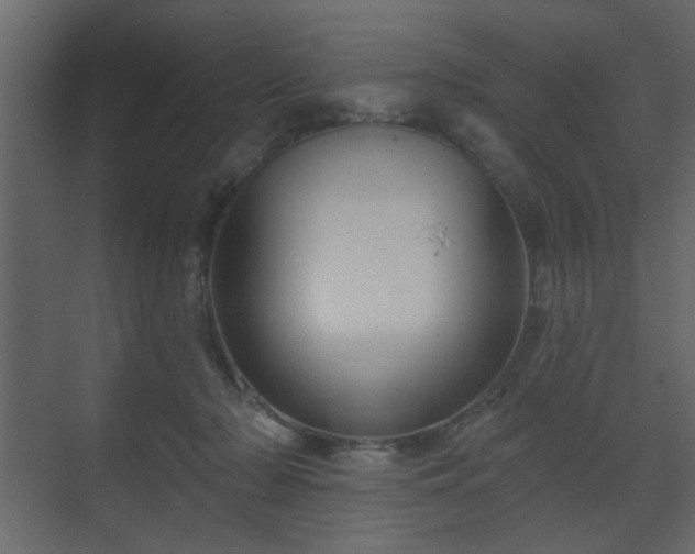 X0000070160318200605301306