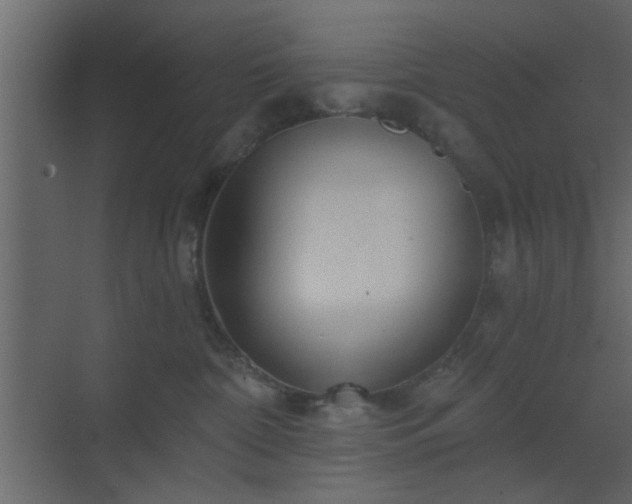 X0000070160332200605301306