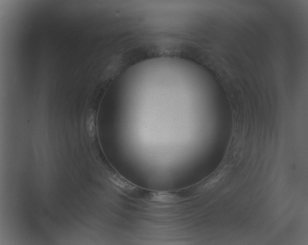 X0000070160336200605301306