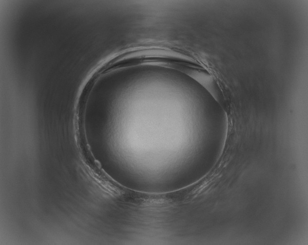 X0000070160342200605301305