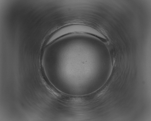 X0000070160349200605301305