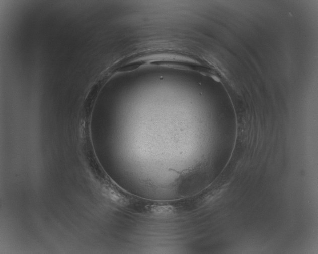 X0000070160355200605301305