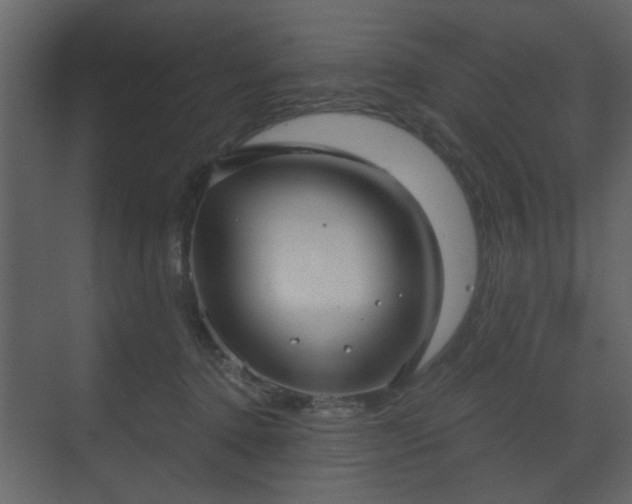 X0000070160368200605301305