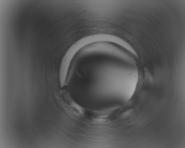 X0000070160380200605301306