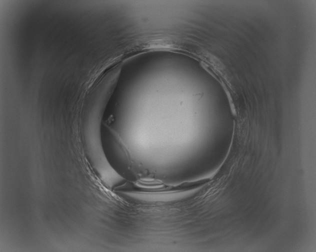 X0000070160385200605301305