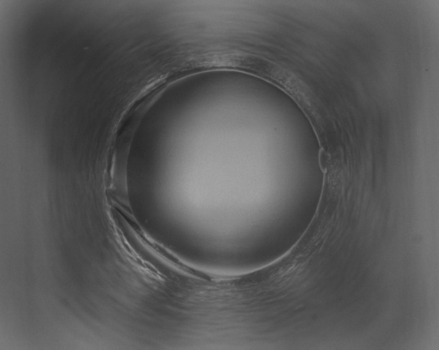 X0000070160386200605301305