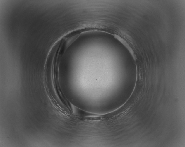 X0000070160388200605301305