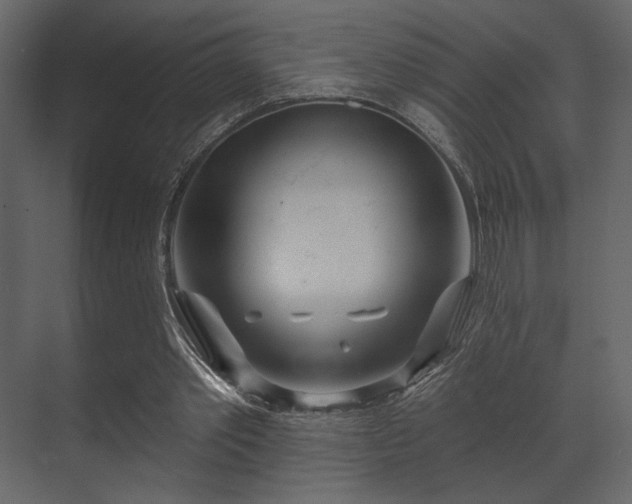 X0000070160389200605301305