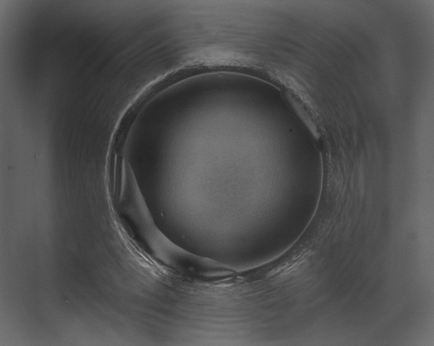 X0000070160391200605301305