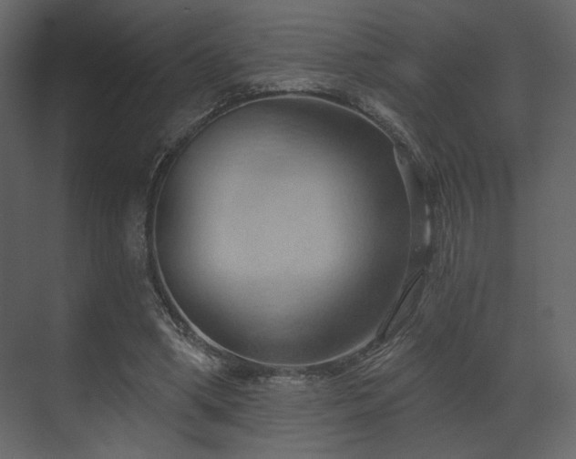 X0000070160394200605301305