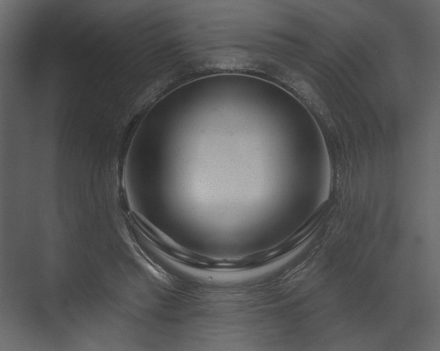 X0000070160397200605301305