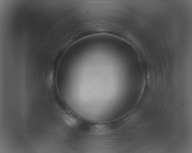 X0000070160406200605301305