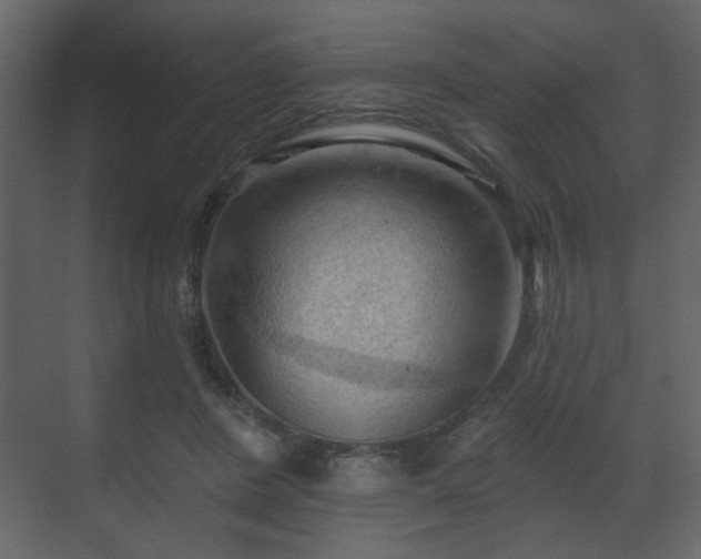 X0000070160408200605301305