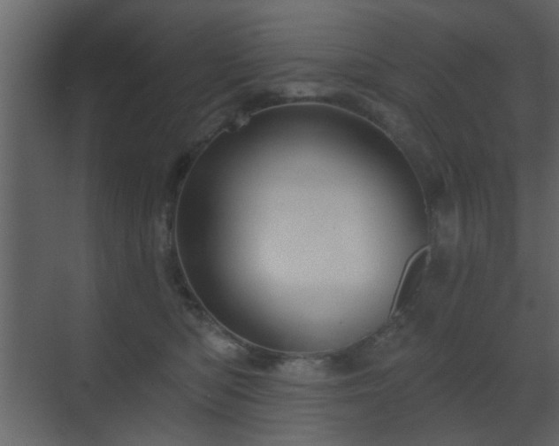 X0000070160422200605301304