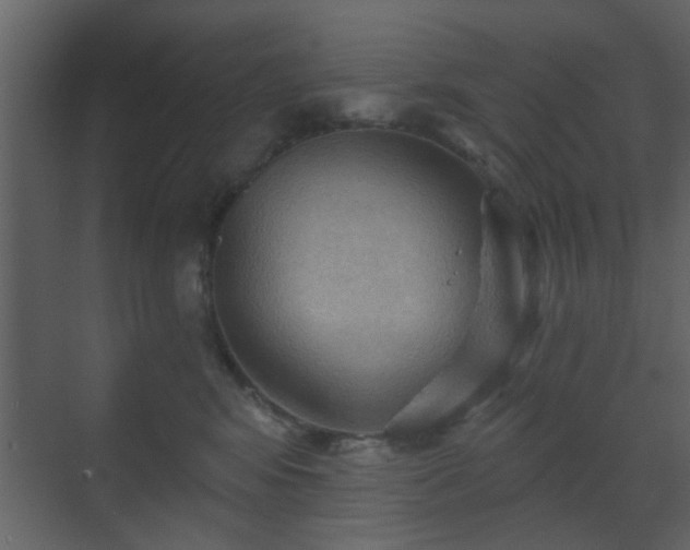 X0000070160424200605301304